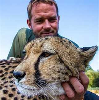 家里养大喵/家有大猫