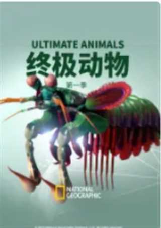 终极动物 第一季