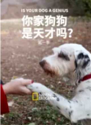 和家里的狗狗卡住了