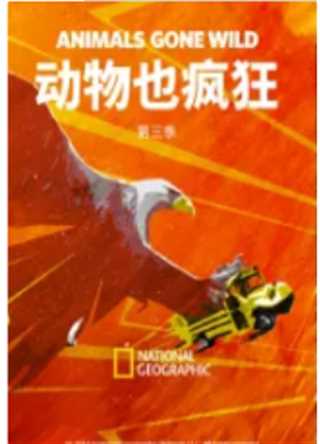动物也疯狂 第三季