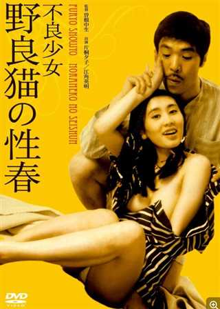 不良少女:野良猫的性春