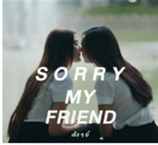 抱歉我的朋友