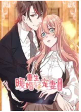 重生暖婚轻宠妻 第三季