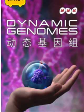 动态基因组