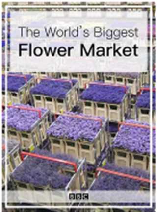 世界上最大的鲜花市场