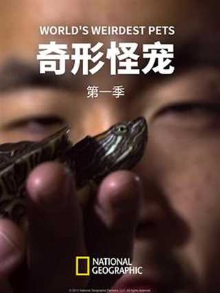 奇形怪宠第一季