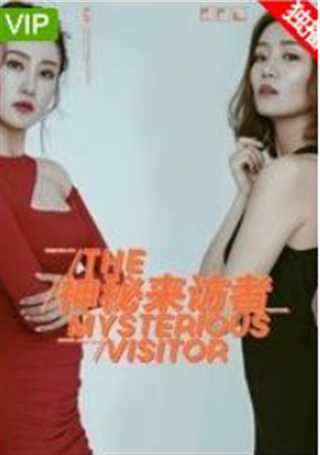 神秘来访者