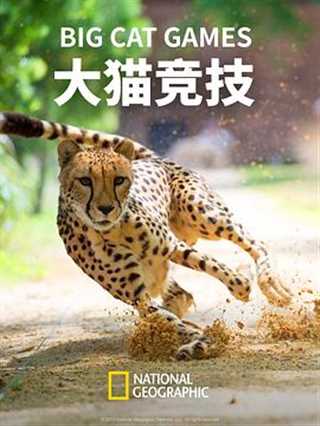 国家地理 大猫竞技