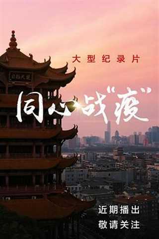 同心战役之令出如山