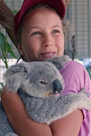 伊兹的考拉世界第一季