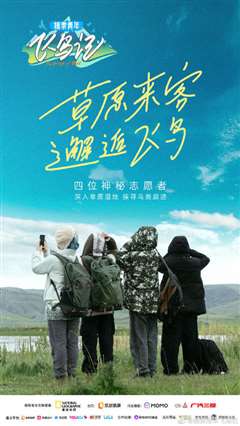 探索青年飞鸟记