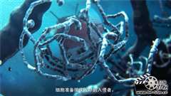 BBC.细胞内部之旅