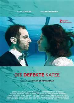 一只功能失调的猫