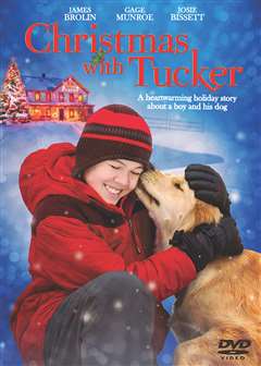 与塔克共度的圣诞节