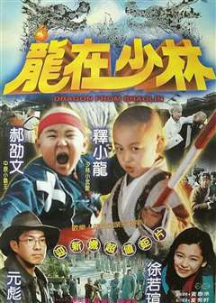 龙在少林