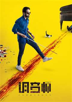 调音师(普通话版)