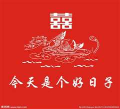 今天是个好日子