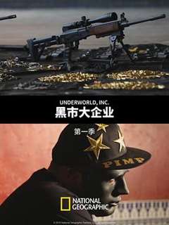 黑市大企业第一季