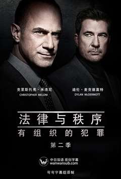 法律与秩序：组织犯罪第二季