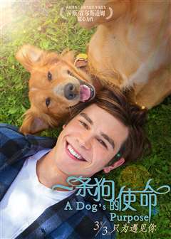 一条狗的使命(英语版)