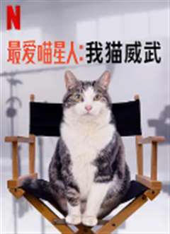 最爱喵星人：我猫威武