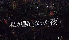 我放纵情欲的夜晚