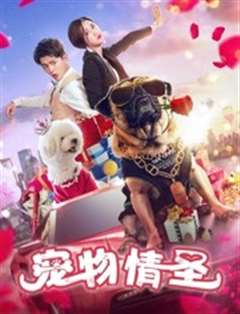 宠物情圣
