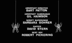 蜘蛛宝宝，或你所听说过最疯狂的故事