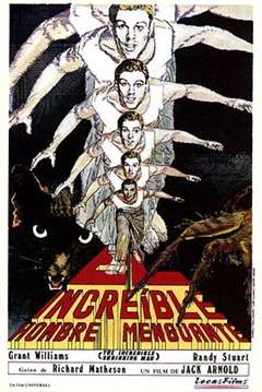 不可思议的海岸物语