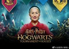 哈利·波特：霍格沃茨学院锦标赛