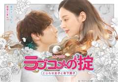 恋爱喜剧守则 自卑女与年下男