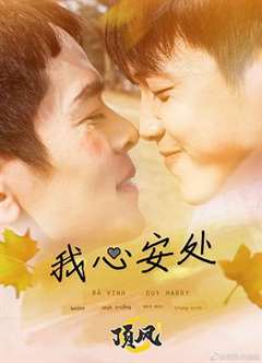 我心安处 