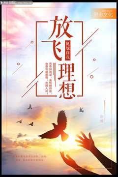 放飞理想