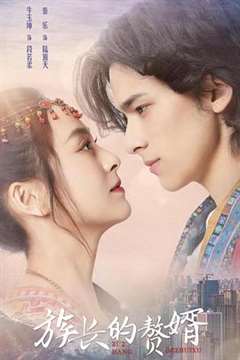 免费在线观看完整版国产剧《族长的赘婿》