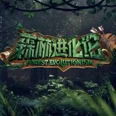 森林进化论