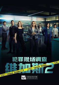 犯罪现场调查：维加斯 第二季