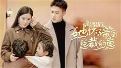 离婚后她怀了帝国总裁的崽