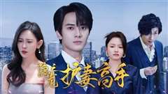 隐龙之护妻高手