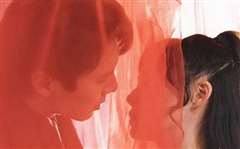 离婚后我成了前夫的白月光