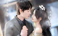 世间星辰不及你