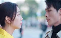 总裁夫人，身兼多职