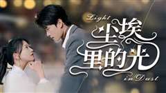 尘埃里的光