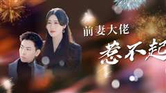 前妻大佬惹不起