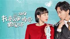 夫妻马甲双双掉完把家还