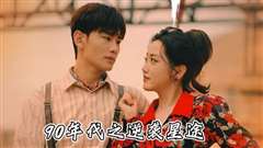 九零年代之逆袭星途