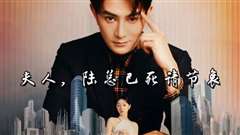 夫人，陆总已死请节哀