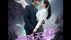 傅总的天降太子妃