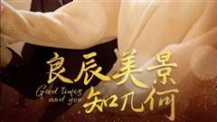 良辰美景知几何