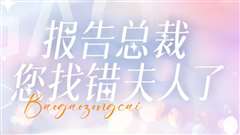 报告总裁您找错夫人了