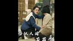 恰似人间芳菲尽